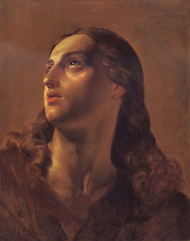 Karl Briullov St John the Divine Norge oil painting art